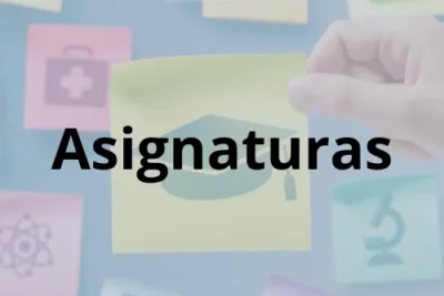 Asignaturas